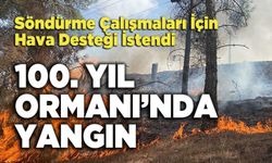 100. Yıl Ormanında Yangın