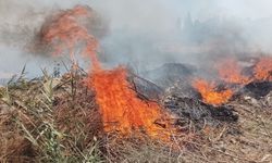 Sarayköy'de Çıkan Yangın Söndürüldü