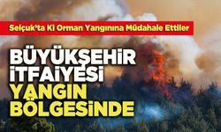 Büyükşehir İtfaiyesi Yangın Bölgesinde