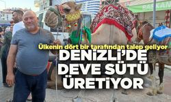 Denizli’de Deve Sütü Üretiyor