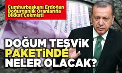 Doğum Teşvik Paketinde Neler Olacak?