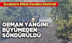 Orman Yangını Büyümeden Söndürüldü