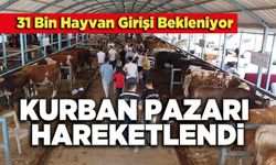 Kurban Pazarı Hareketlendi