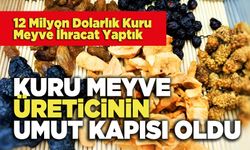 Kuru Meyve Üreticinin Umut Kapısı Oldu