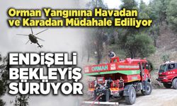 Orman Yangınına Havadan Ve Karadan Müdahale Ediliyor