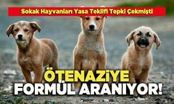 Ötenaziye Formül Aranıyor!