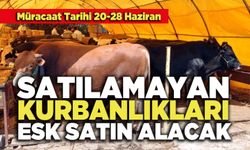 Satılamayan Kurbanlıkları ESK Satın Alacak