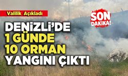 Valilik Açıkladı: Denizli’de 1 Günde 10 Orman Yangını Çıktı