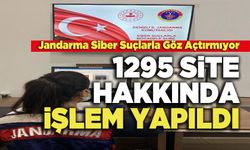 1295 Site Hakkında İşlem Yapıldı