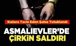 Asmalıevler'de Çirkin Saldırı