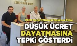 EMO Denizli Şubesi Başkanı Pala: Düşük Ücret Dayatmasına Tepki Gösterdi