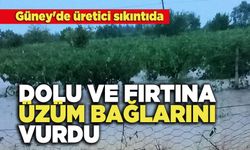 Dolu Ve Fırtına Üzüm Bağlarına Vurdu