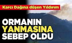 Karcı Dağına düşen Yıldırım Ormanın Yanmasına Sebep Oldu