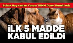 Sokak Hayvanları Yasası TBMM Genel Kurulu’nda;  İlk 5 Madde Kabul Edildi