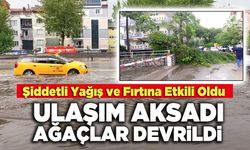 Şiddetli Yağış ve Fırtına Etkili Oldu Ulaşım Aksadı Ağaçlar Devrildi