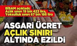 Asgari Ücret Açlık Sınırı Altında Ezildi