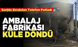 Ambalaj Fabrikası Küle Döndü