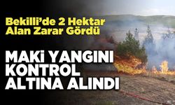 Bekilli'deki Maki Yangını Kontrol Altına Alındı