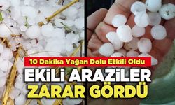 Ekili Araziler Zarar Gördü