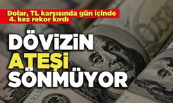 Dövizin Ateşi Sönmüyor: Dolar, TL karşısında gün içinde 4. kez rekor kırdı