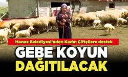 Honaz Belediyesi’nden Kadın Çiftçilere Destek