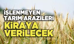 İşlenmeyen Tarım Arazileri Kiraya Verilecek