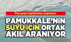 Pamukkale’nin Suyu İçin Ortak Akıl Aranıyor