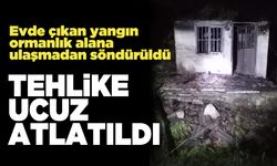 Tehlike Ucuz Atlatıldı