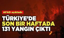 AFAD açıkladı:  Türkiye’de Son Bir Haftada 131 Yangın Çıktı