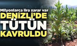 Denizli’de Tütün Kavruldu