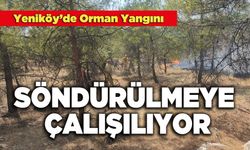 Yeniköy’de Orman Yangını Söndürülmeye Çalışılıyor