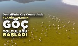 Kuş Cenneti Acıgöl'de Flamingoların Göç Yolculuğu Başladı