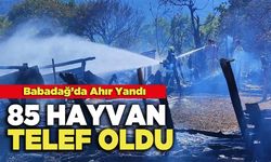 Babadağ’da Ahır Yandı, 85 Küçükbaş Hayvan Telef Oldu