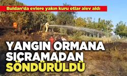 Buldan'daki Yangın Ormana Sıçramadan Söndürüldü