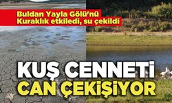 Kuş Cenneti Can Çekişiyor