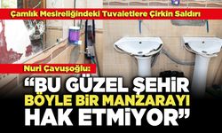 Çamlık Mesireliğindeki Tuvaletlere Çirkin Saldırı