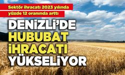 Denizli’de Hububat İhracatı Yükseliyor