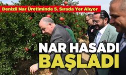 Denizli'de Nar Hasadı Başladı