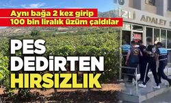 Pes Dedirten Hırsızlık