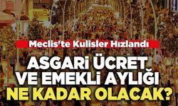 Asgari Ücret Ve Emekli Aylığı Ne Kadar Olacak?