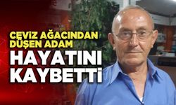 Ceviz Ağacından Düşen Adam Hayatını Kaybetti