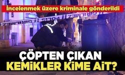 Çöpten Çıkan Kemikler Kime Ait?