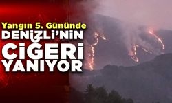 Denizli’nin ciğeri yanmaya devam ediyor