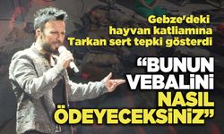 Tarkan: “Bunun Vebalini Nasıl Ödeyeceksiniz”