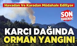 Karcı Dağında Orman Yangını