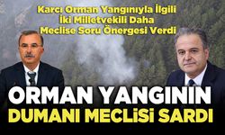 Denizli Orman Yangının Dumanı Meclisi Sardı