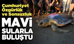 Cumhuriyet, Özgürlük ve Sonsuzluk Adlı Deniz Kaplumbağaları Mavi Sularla Buluştu