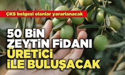 50 Bin Zeytin Fidanı Üretici İle Buluşacak