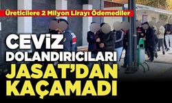 Ceviz Dolandırıcıları JASAT’dan Kaçamadı