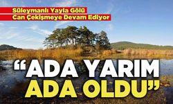 Süleymanlı Yayla Gölü Can Çekişmeye Devam Ediyor, "Ada Yarım Ada Oldu"